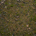 Base Ready Patchy Plains - 300ml