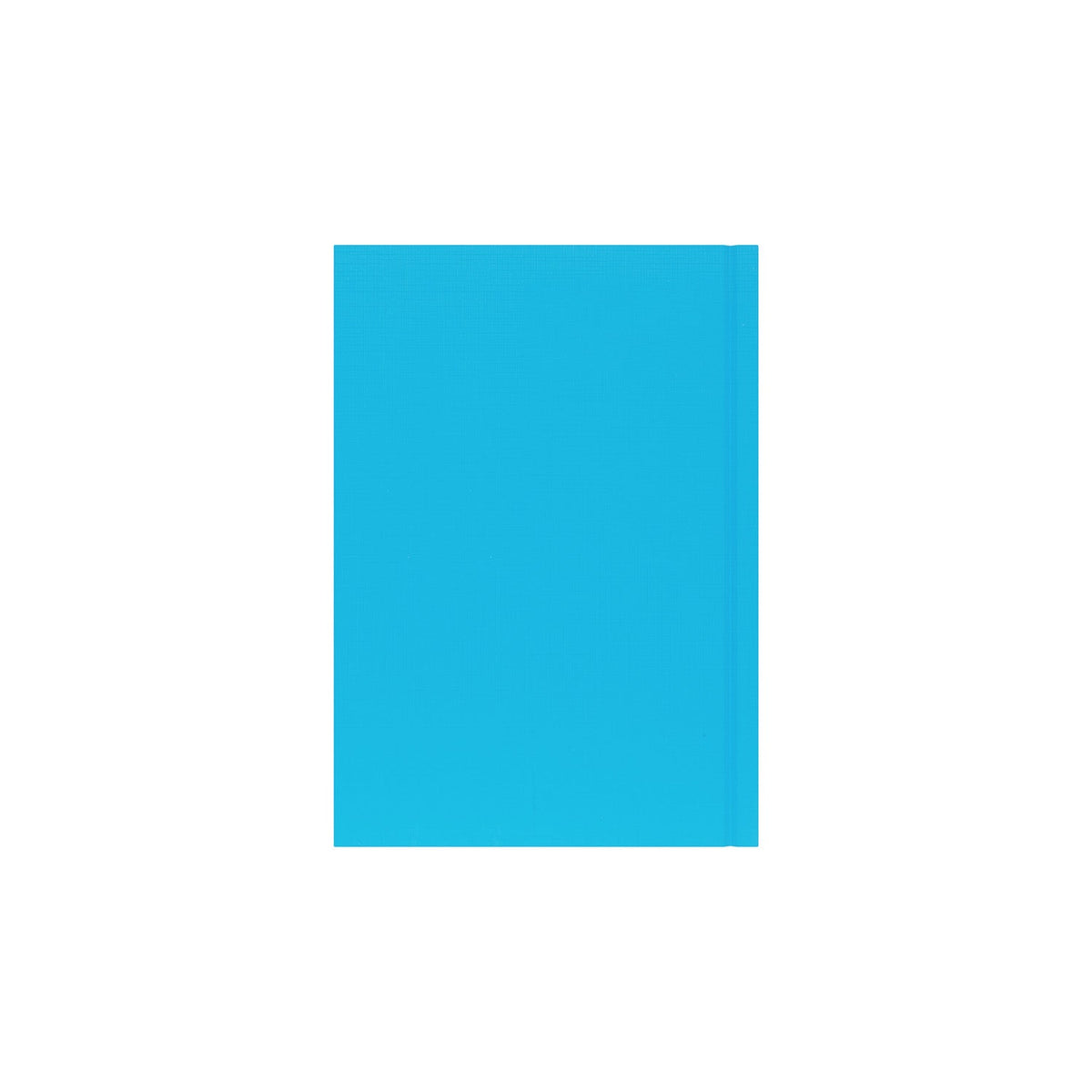 2026-2027 - Mid/Academic Year Planner - 13 Month A5 Week-to-View Diary - Collins Debden Essential Range