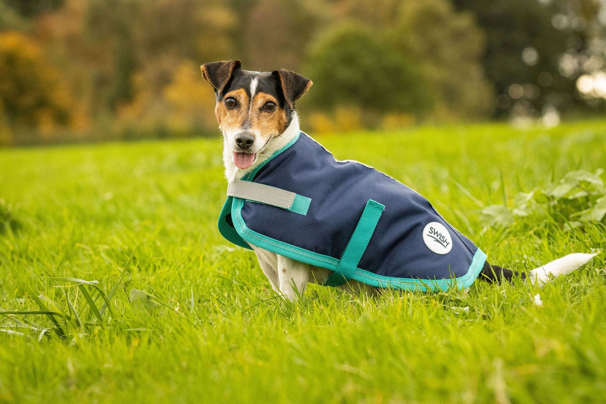 Waterproof Dog Coat - Navy