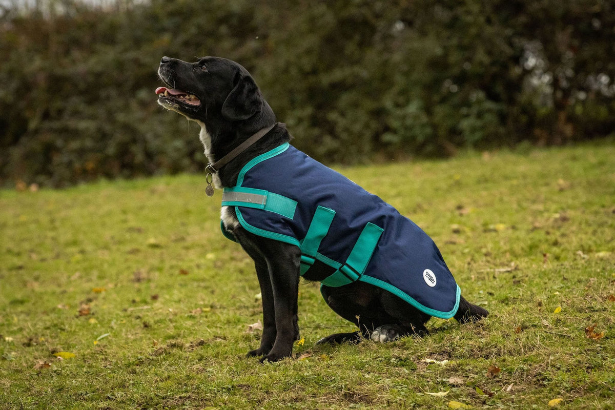 Waterproof Dog Coat - Navy