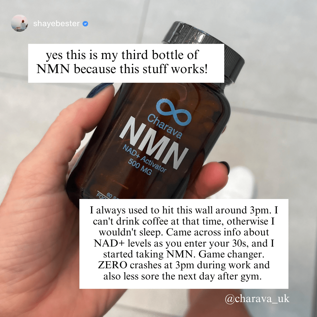 Daily NMN Longevity Supplement